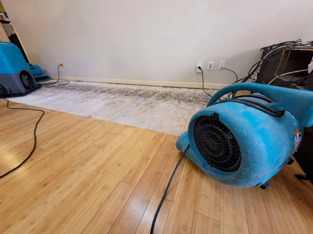 Professional Water Removal technician working in Hoschton, GA